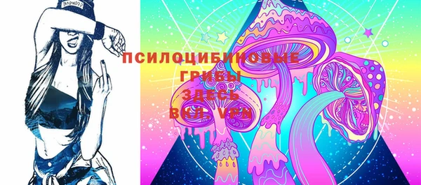соль ск Богородицк