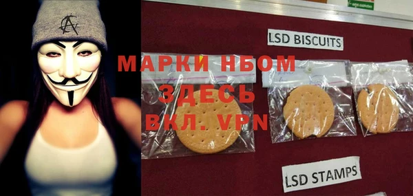 spice Бородино